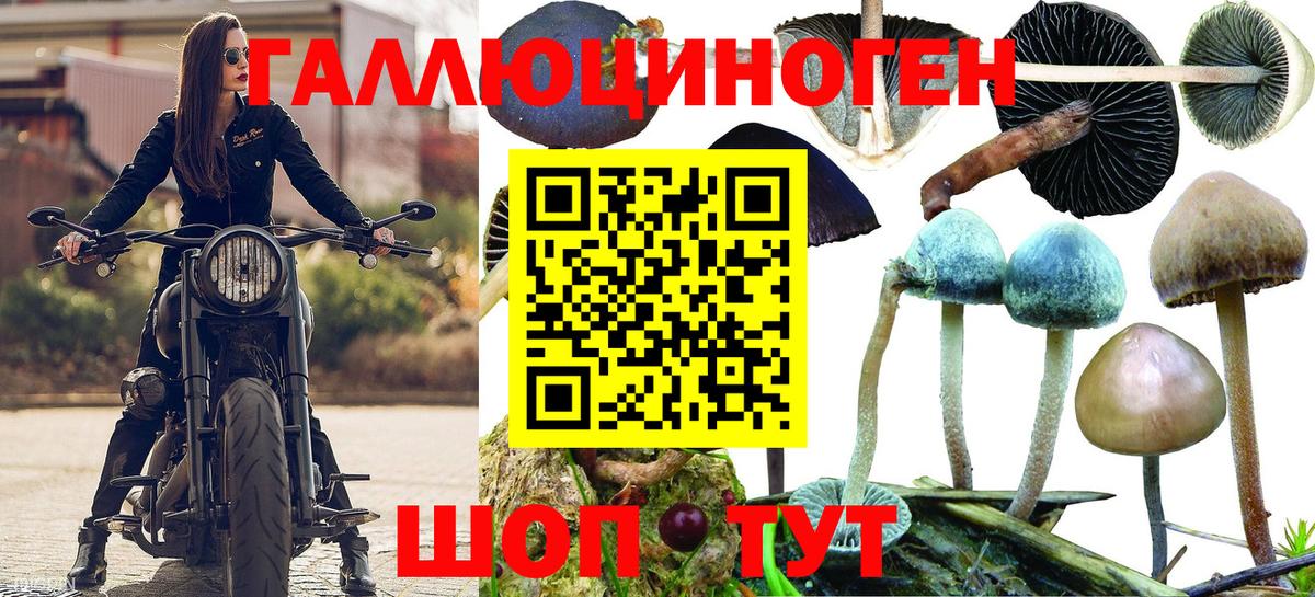 Шелехов  Галлюциногенные грибы MAGIC MUSHROOMS  Галлюциногенные грибы GOLDEN TEACHER  Вход с VPN 